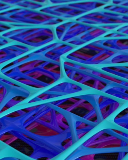 mikrostruktura widziana w znacznym przybliżeniu